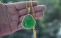 Jade jewelry a gold pendant necklace decorated with green jade beautiful and rare It has been a popular accessory Royalty Free Stock Photo