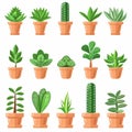 Jade plant (Crassula ovata) Pot Plant Icon Set, Crassula ovata Plant Flat Design, Jade plant Symbols Royalty Free Stock Photo