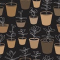 Jade Plants in Pots Seamless Pattern