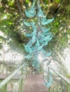 Jade Vine in Hortus Botanicus botanical garden Royalty Free Stock Photo