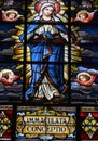 Stained glass window Saint Peter Church is a Franciscan Church
