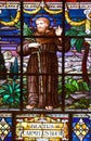 Stained glass window Saint Peter Church is a Franciscan Church