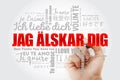 Jag alskar dig I Love You in Swedish word cloud