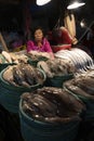 Jagalchi Fish Market Busan South Korea Royalty Free Stock Photo