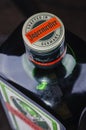 Jagermeister digestif on gradient background. Royalty Free Stock Photo