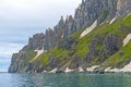 Jagged Bird Cliffs in the High Arctic Royalty Free Stock Photo