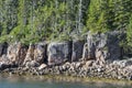 Trees rooted in granite cliff along Ship Harbor Nature Trail