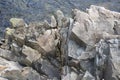 Jagged Rocks on Shoreline in Acadia National Park