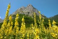 Jagger Peak In Grebaje Valley, Montenegro Royalty Free Stock Photo