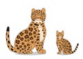 Jaguar and bengal cat