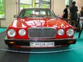 Jaguar Royalty Free Stock Photo