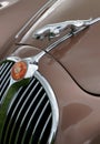 Jaguar Car Hood Ornament
