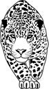 Jaguar clipart vector, cheetah, leopard