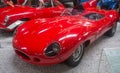 Jaguar D-Type - Museum Sinsheim Royalty Free Stock Photo