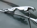 Jaguar emblem on grey bonnet