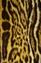 Jaguar fur background texture pattern Royalty Free Stock Photo