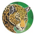 Jaguar head circle Royalty Free Stock Photo