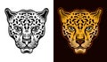 Jaguar head front view two styles black on white and colorful on dark background vector illustration Royalty Free Stock Photo