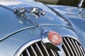 Jaguar hood ornament