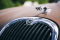 Jaguar hood ornament sign. Classic luxury car bonnet. Macro side view photo. Tuning show, Tomsk, Russia 2019-06-15.