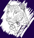 Jaguar illustration with draft style lines