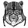 Jaguar, leopard Animal wearing motorycle helmet. Image for kindergarten children clothing, kids. T-shirt, tattoo, emblem