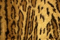 Jaguar leopard fantasy fabric fur texture Royalty Free Stock Photo