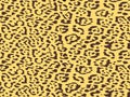jaguar leopard pattern texture repeating seamless orange yellow brown
