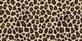 Jaguar, leopard print. Vector seamless pattern. Realistic animal skin background Royalty Free Stock Photo