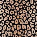 Jaguar, leopard print. Vector seamless pattern. Realistic animal skin background Royalty Free Stock Photo