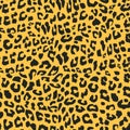 Jaguar or leopard seamless pattern. Realistic animal skin background illustration fur textile ready for print