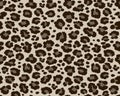 Jaguar leopard Skin repeating seamless Pattern. Animal Print for Textile Design Royalty Free Stock Photo