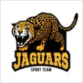 Jaguar mascot - emblem for sport team