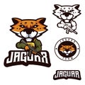 Jaguar in military style