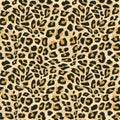 Jaguar skin seamless pattern vector illustration for fashion textile print and wrapping.