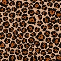 Jaguar skin vector patterm