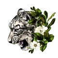 Jaguar snout snarl in profile round composition decorated with flowers and leaves of Magnolia and rosehip Royalty Free Stock Photo