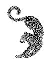 Jaguar spotted silhouette. Vector elegance wild animal graphic illustration. Black isolated on white background Royalty Free Stock Photo