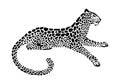 Jaguar spotted silhouette. Vector lying wildcat graphic illustration. Black isolated on white background Royalty Free Stock Photo