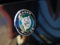 Jaguar symbol on a car
