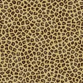 Jaguar Texture Background Fur Royalty Free Stock Photo