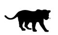 Jaguar vector silhouette illustration isolated on white background. Big cat, silent predator from America. Beautiful animal. Royalty Free Stock Photo