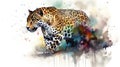 Jaguar watercolor predator animals wildlife