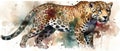 Jaguar watercolor predator animals wildlife Royalty Free Stock Photo