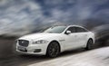 Jaguar white car. Royalty Free Stock Photo