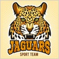 Jaguars - Sport Team Design