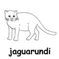 Kids line illustration coloring jaguarundi. outline vector for children. cute cartoon characters