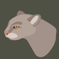 Jaguarundi head vector illustration flat style profile