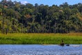 Jahai aborigine paddling a raft in Royal Belum