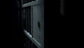 Jail Cell Door And Welded Iron Bars Royalty Free Stock Photo